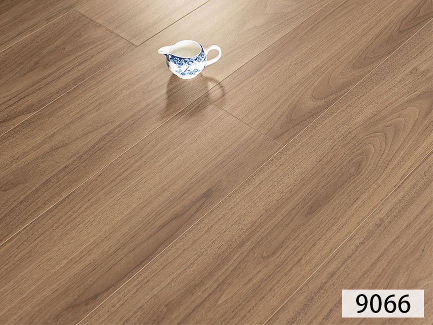 9066